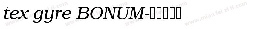 tex gyre BONUM字体转换